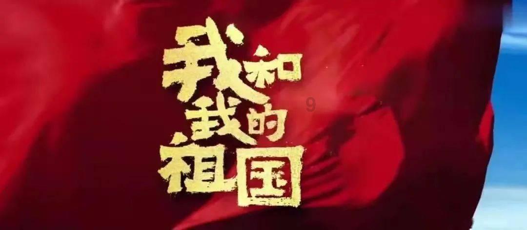 残忍！剧组实拍坠马戏致马匹死亡，被罚1000万